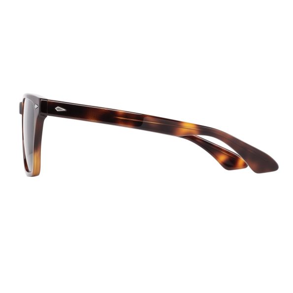 AmericanOptical-Hudson-Tortoise-polz-sun-detail