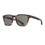 AmericanOptical-Hudson-Tortoise-polz-sun-front